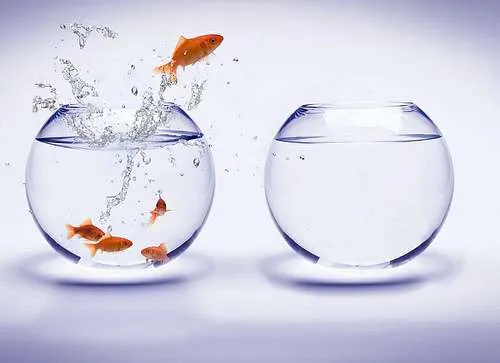 Pez saltando de una pecera llena a otra vacía. Simboliza la Innovación en mercado. Pez saltando de una pecera llena a otra vacía. Simboliza la Innovación en mercado.