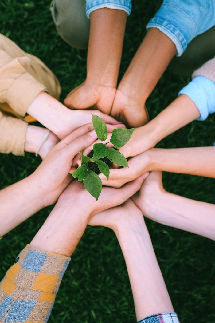 creative-approach-img Hands united around a plant symbolizing teamwork and eco-friendly efforts outdoors.
