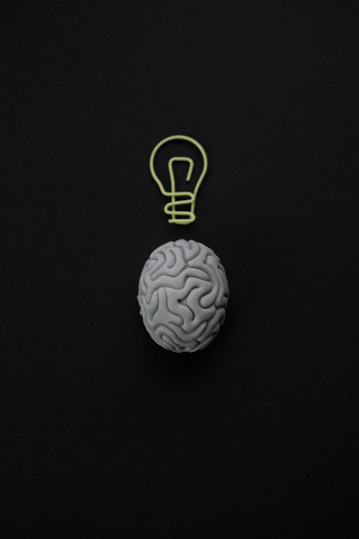 Cerebro gris con símbolo de bombilla sobre fondo negro que representa inteligencia y creatividad.